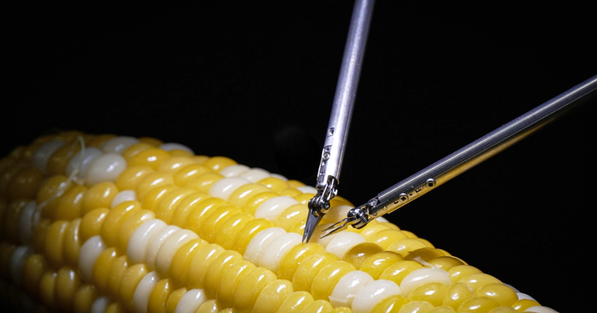 Sony’s new microsurgery robotic stitches up a corn kernel