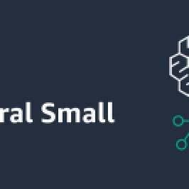 Optimized for low-latency workloads, Mistral Small now obtainable in Amazon Bedrock